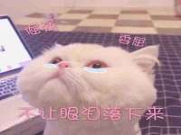 义乌市晚亭电子商务商行