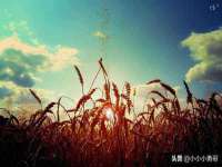 义乌市晚亭电子商务商行