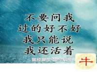 义乌市晚亭电子商务商行