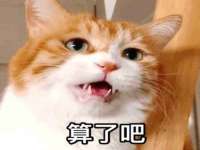 义乌市晚亭电子商务商行