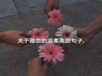 义乌市晚亭电子商务商行