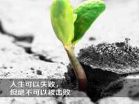 义乌市晚亭电子商务商行