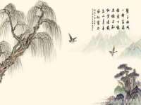义乌市晚亭电子商务商行