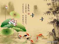 义乌市晚亭电子商务商行