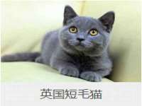 义乌市晚亭电子商务商行