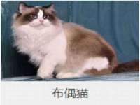 义乌市晚亭电子商务商行