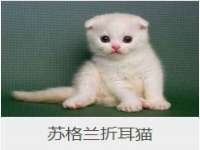 义乌市晚亭电子商务商行