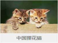 义乌市晚亭电子商务商行