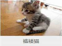 义乌市晚亭电子商务商行