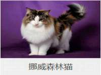 义乌市晚亭电子商务商行