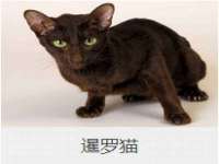 义乌市晚亭电子商务商行