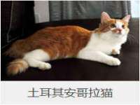 义乌市晚亭电子商务商行