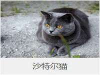 义乌市晚亭电子商务商行