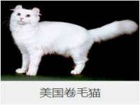 义乌市晚亭电子商务商行