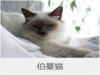 义乌市晚亭电子商务商行