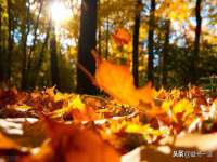义乌市晚亭电子商务商行