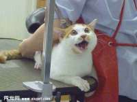 义乌市晚亭电子商务商行