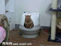 义乌市晚亭电子商务商行