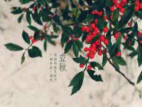 义乌市晚亭电子商务商行