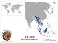 义乌市晚亭电子商务商行