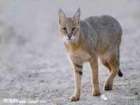 义乌市晚亭电子商务商行