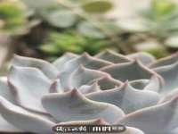 义乌市晚亭电子商务商行