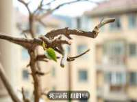 义乌市晚亭电子商务商行