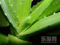 义乌市晚亭电子商务商行
