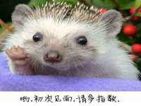 义乌市晚亭电子商务商行