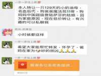 义乌市晚亭电子商务商行