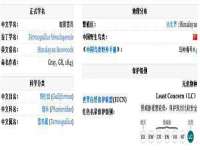 义乌市晚亭电子商务商行