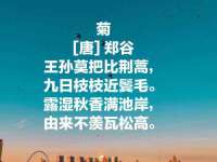 义乌市晚亭电子商务商行