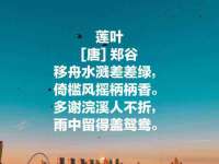 义乌市晚亭电子商务商行