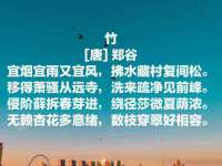 义乌市晚亭电子商务商行