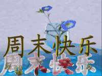 义乌市晚亭电子商务商行