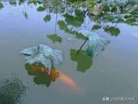 义乌市晚亭电子商务商行