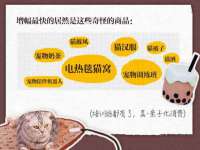 义乌市晚亭电子商务商行