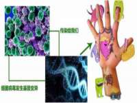 义乌市晚亭电子商务商行