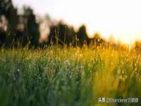 义乌市晚亭电子商务商行