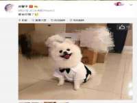 义乌市晚亭电子商务商行