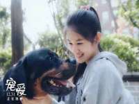 义乌市晚亭电子商务商行