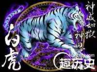 义乌市晚亭电子商务商行