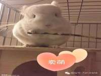 义乌市晚亭电子商务商行