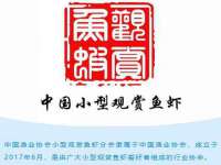 义乌市晚亭电子商务商行
