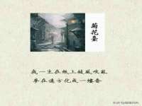 义乌市晚亭电子商务商行