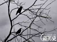 义乌市晚亭电子商务商行