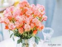 义乌市晚亭电子商务商行