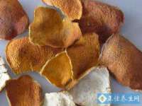 义乌市晚亭电子商务商行