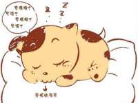 义乌市晚亭电子商务商行