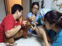 义乌市晚亭电子商务商行